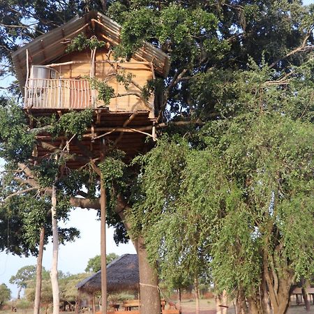 Hotel Yala Dream Park Zewnętrze zdjęcie