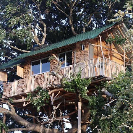 Hotel Yala Dream Park Zewnętrze zdjęcie