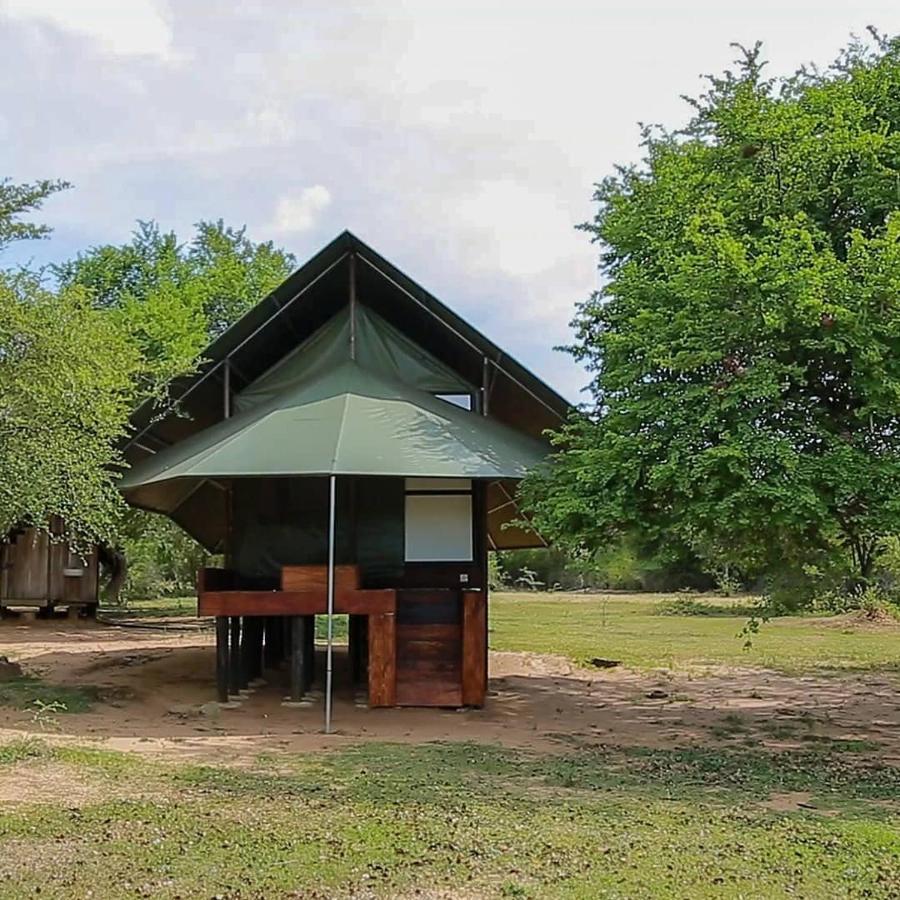 Hotel Yala Dream Park Zewnętrze zdjęcie