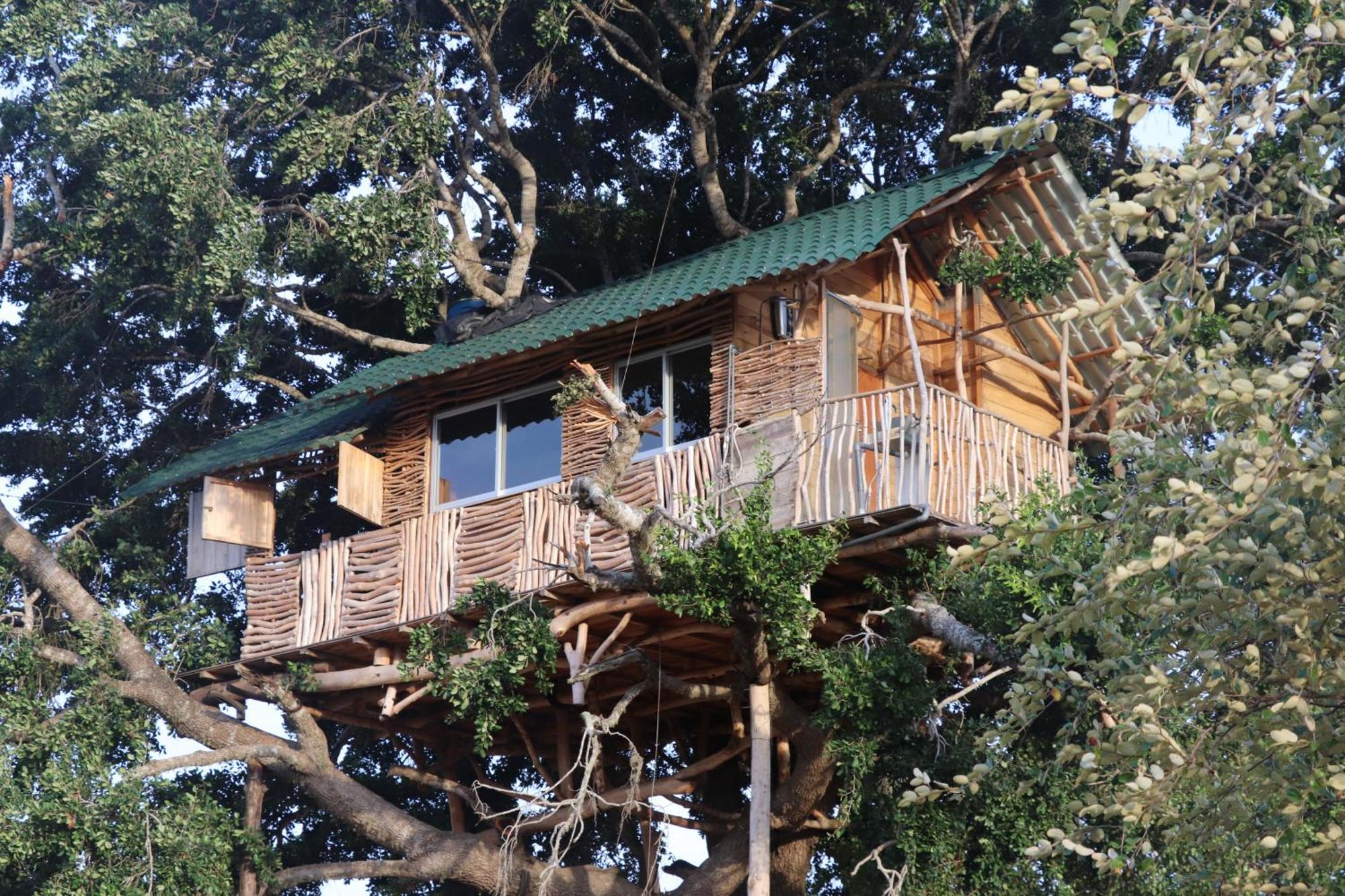 Hotel Yala Dream Park Zewnętrze zdjęcie