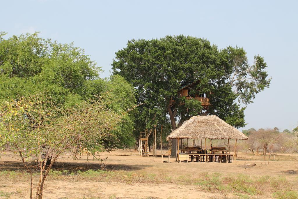 Hotel Yala Dream Park Zewnętrze zdjęcie