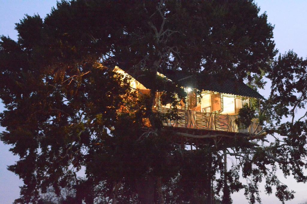 Hotel Yala Dream Park Zewnętrze zdjęcie