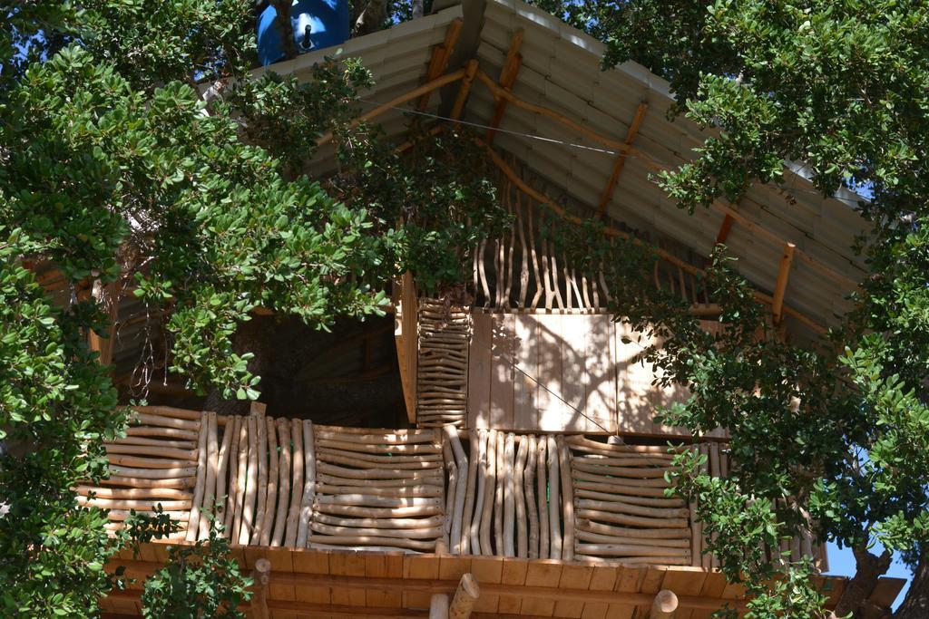 Hotel Yala Dream Park Zewnętrze zdjęcie