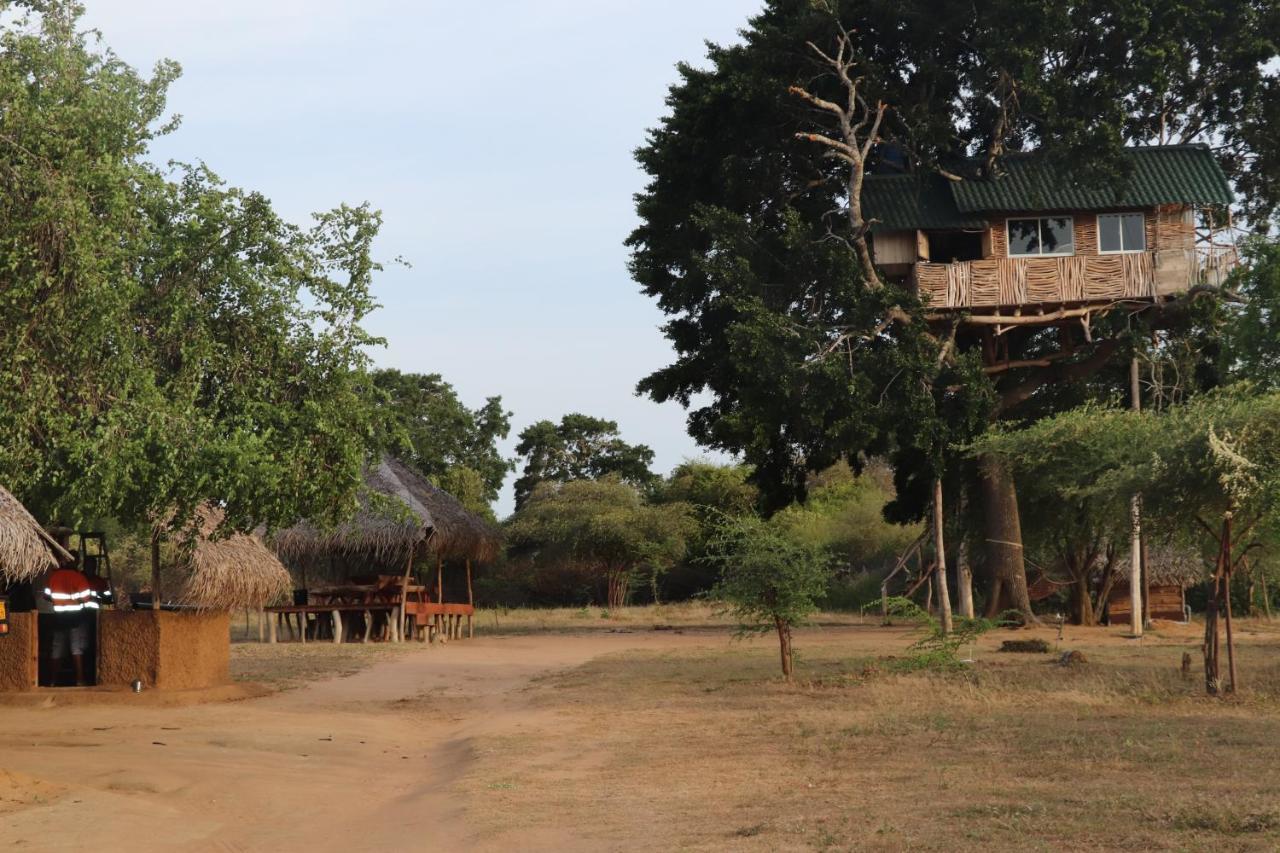 Hotel Yala Dream Park Zewnętrze zdjęcie