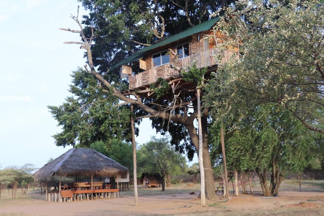 Hotel Yala Dream Park Zewnętrze zdjęcie